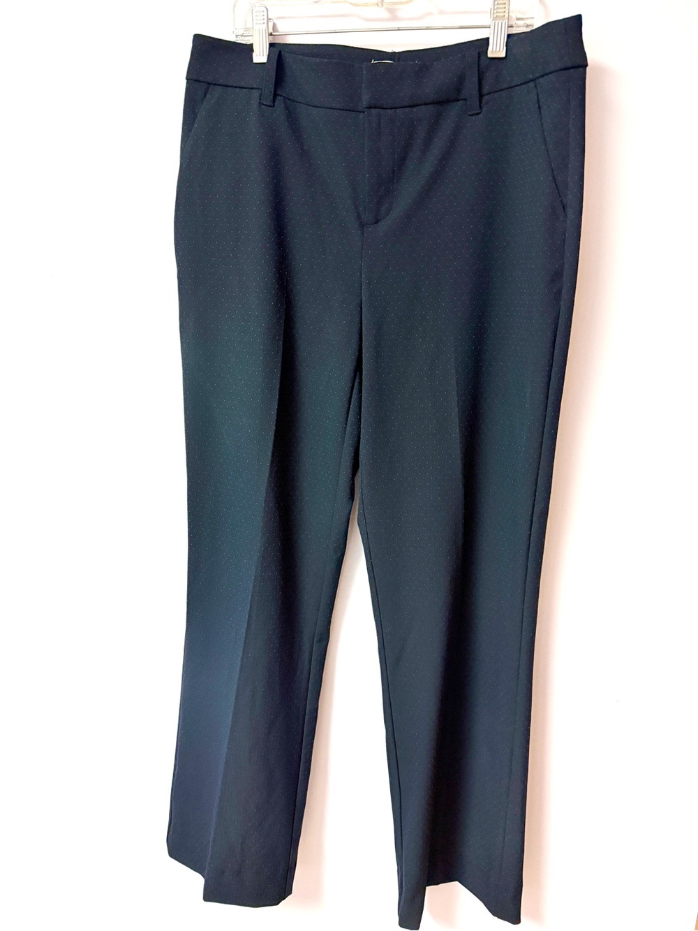 Charter Club Navy Blue with light blue polka dots Dress Pants